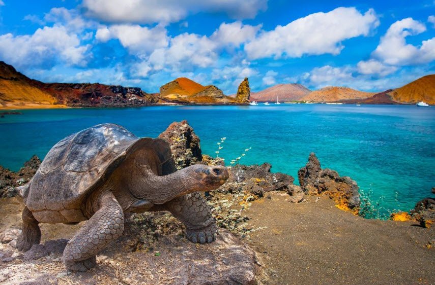 Galápagos Islands, Galápagos Province, Ecuador